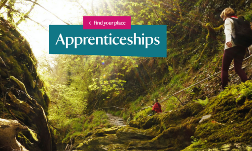 Screenshot of National Trust Apprenticeships page