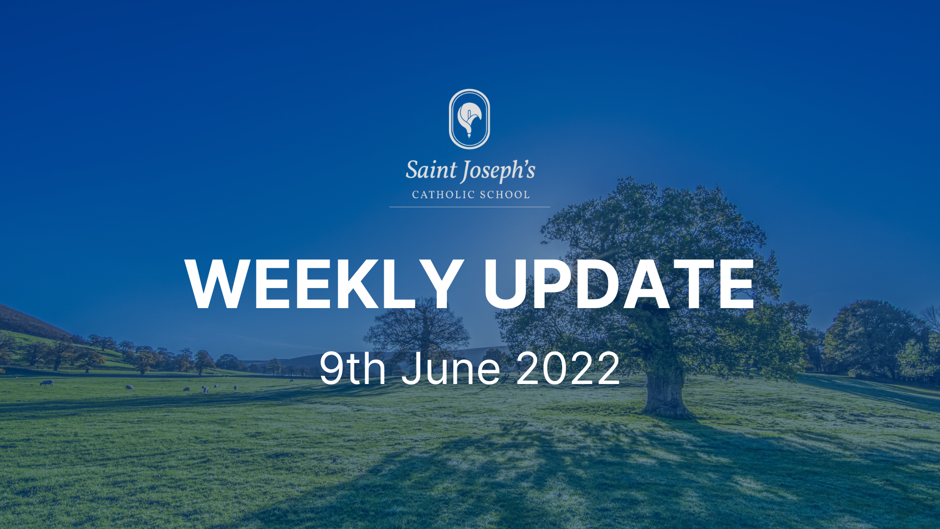 Featured image for “Weekly Update: 9th June 2023”